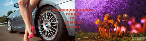 прущая мука Алексин
