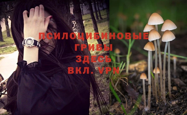 кристаллы Алзамай