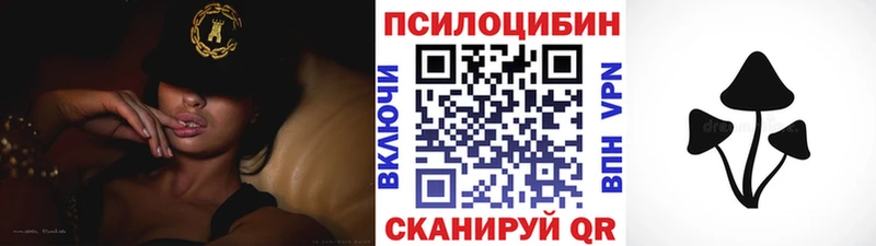 Псилоцибиновые грибы Cubensis  blacksprut зеркало  Коркино 