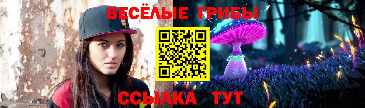 Псилоцибиновые грибы мухоморы  Вход с VPN  Псилоцибиновые грибы Psilocybe  Коркино 